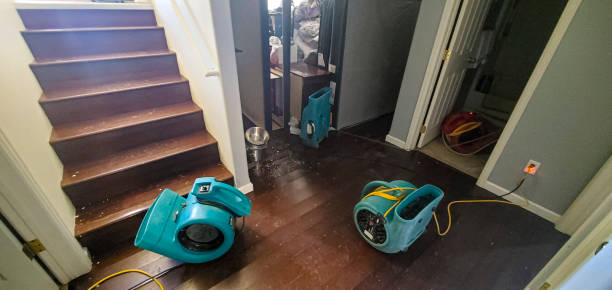 Best Professional water damage repair  in Grafton, WI