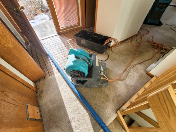 Best Sewage cleanup and water damage restoration  in Grafton, WI