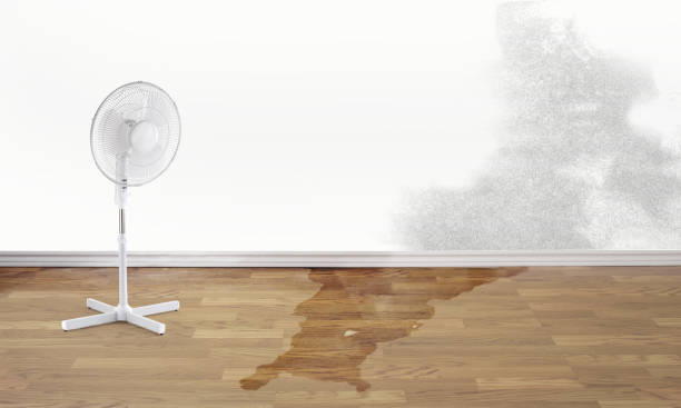 Best Fire Damage Restoration  in Grafton, WI