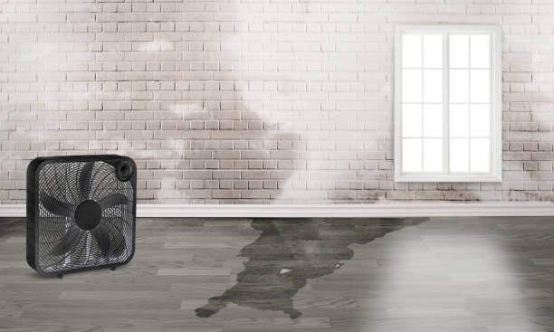  Grafton, WI Water damage restoration Pros