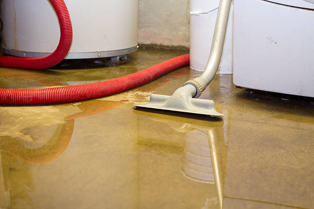 Best Flood damage cleanup  in Grafton, WI