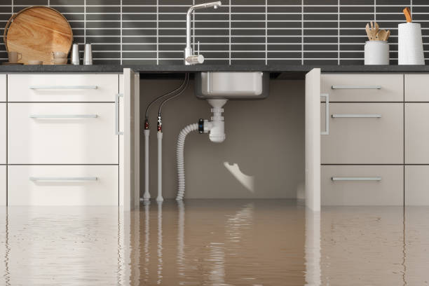  Grafton, WI Water damage restoration Pros