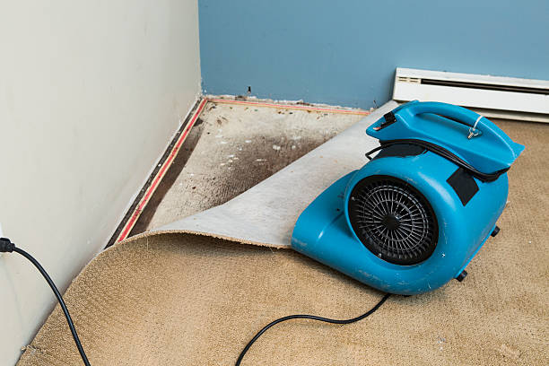 Best Water damage mitigation services  in Grafton, WI